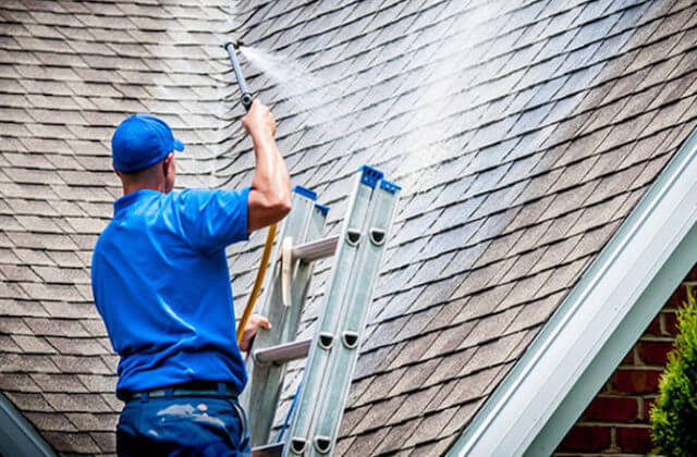 portland roof cleaning